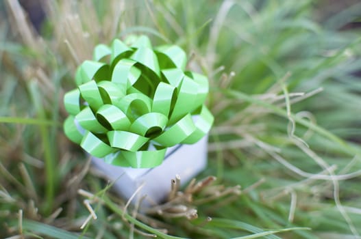 A gift box sits in a tuft of green grass.