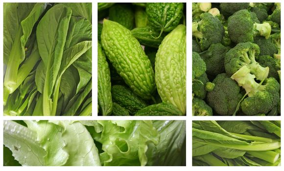 Green Vegetables for a Healthy Eating Lifestyle