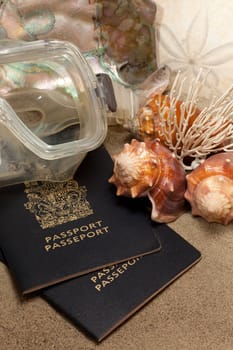 Close-Up of passport, diving mask, sand dollar (Echinoderm), coral , conch shells, and abalone: Beach Vacation Concept