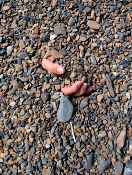 Fingers of a hand are sticking out of gravel surface.