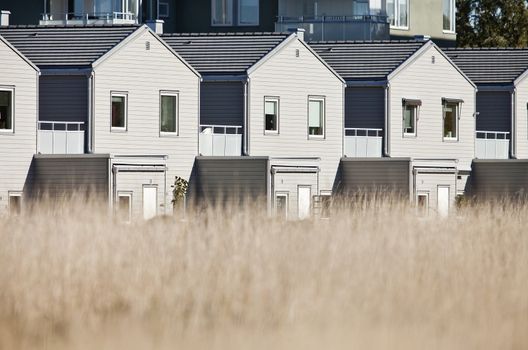 Residential District on a sunny day