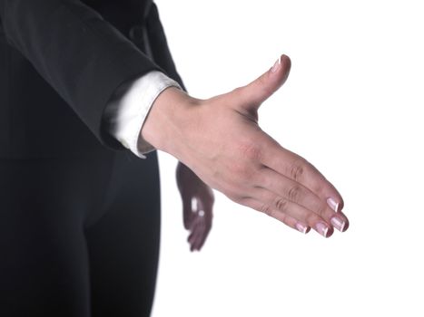 Womans Hand Ready For Handshaking