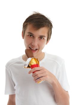 A boy eating a milk chocolate easter bunny. White background.