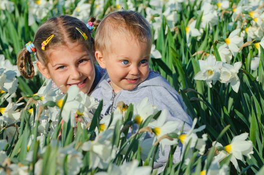 Cute little sister and brother sitting on the meadow with daffodils