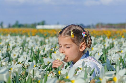 little girl sitting on the meadow with daffodils