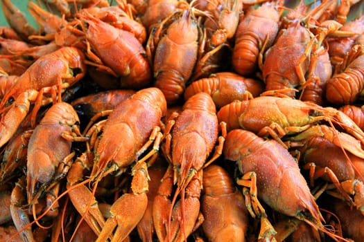 Background with many boiled crawfishes