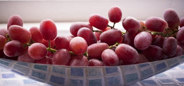 organic red grapes on a silver dish







organic red grapes on a silver dish