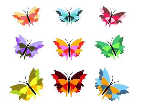 9 butterflies of different colours