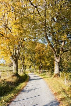 An image of a nice autumn landscape