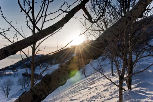 snow winter landscape on Kamchatka in Russia