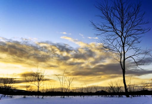 snow winter landscape on Kamchatka in Russia