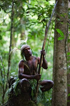 INDONESIA, NEW GUINEA, SECTOR SENGGI - 2 FEBRUARY 2009: The warrior of a Papuan tribe of Yafi in traditional clothes, ornaments and coloring. New Guinea Island, Indonesia. February 2, 2009. 