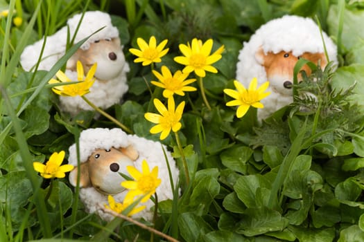 Easter- or spring decoration - funny little sheep in grass with yellow Lesser celandine