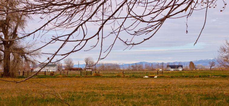 Winter is coming, the yellow dying grass on the field glows with gold.  Another succesful harvest on this farm.