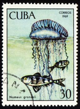 CUBA - CIRCA 1969: stamp printed in Cuba shows fish Nomeus gronovii, series "Tropical fish", circa 1969