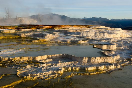 Travertine terraces of Mammoth Hot Springs at sunrise, Yellowstone National Park, Wyoming, USA