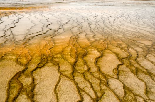 Geyserite patterns, Grand Prismatic Spring, Yellowstone National Park, Wyoming, USA