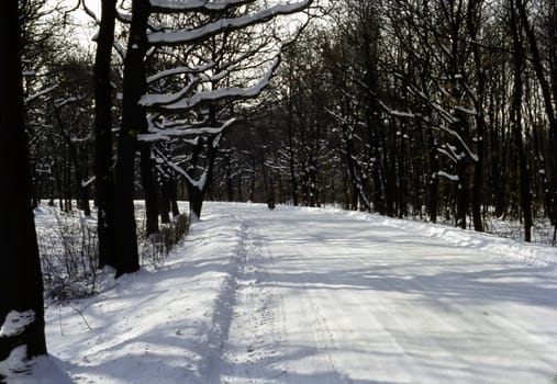 Road in winter