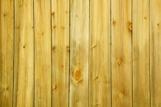 wall of the yellow wood of the old boards with nails
