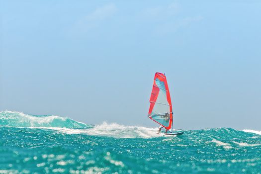 Windsurfing champion playing in the waves