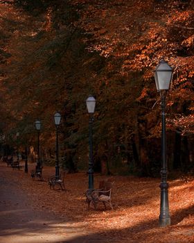 Autumn in the park , row of lamps and benches under the trees on a sunny afternoon