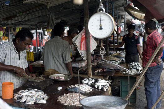 Galle, Sri Lanka - 27th, 2011:seller at a fish market  