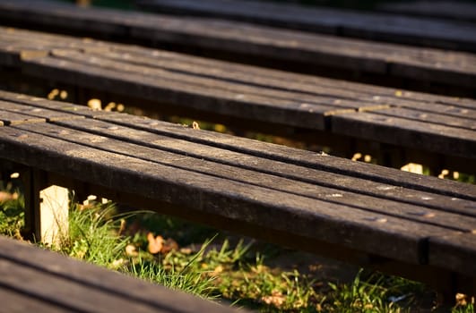 Row of wooden benches in the park