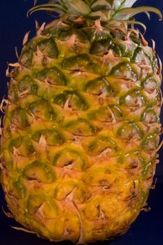 The pineapple (Ananas comosus) is a tropical plant and fruit (multiple), native to Uruguay, Brazil, and Paraguay.