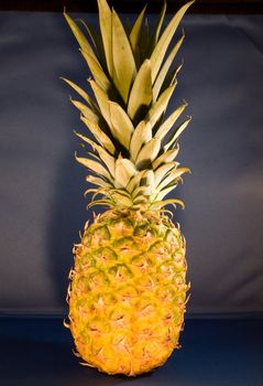 The pineapple (Ananas comosus) is a tropical plant and fruit (multiple), native to Uruguay, Brazil, and Paraguay.