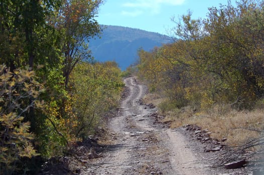 Road in the wilderness of rural Africa.