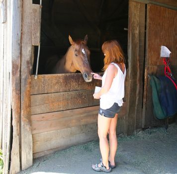 Scenic Horseback Riding just 20 minutes from downtown San Jose in the Saratoga foothills.. Come enjoy a guided horseback ride through Cooper-Garrod Vineyards and the Fremont-Older Mid-Peninsula Open Space Preserve on the eastern slopes of the Santa Cruz Mountains
