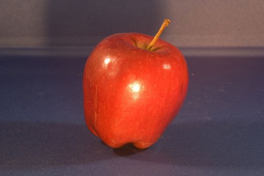 The apple is the pomaceous fruit of the apple tree, species Malus domestica in the rose family Rosaceae.