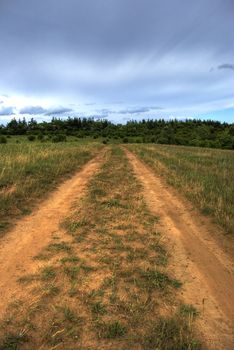 Road to a field. The drama sky above a wood