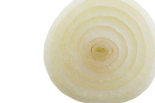Onions. A cut of onions. It is isolated on white