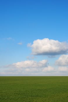 Green field and cloud. Vertical photo. The East Europe.