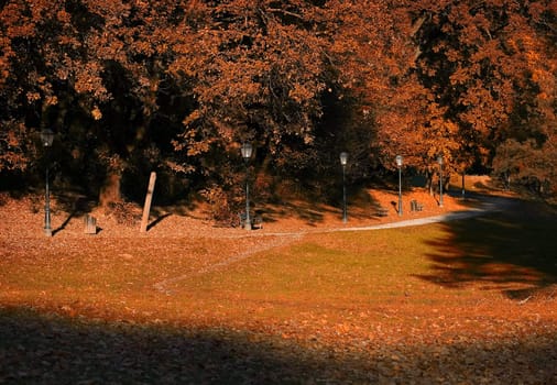 Colorful autumn trees in the park