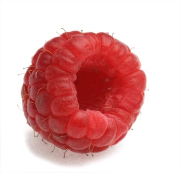 Macro shot of a raspberry photographed in a studio against a white background.