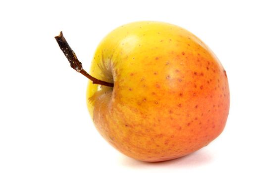 The apple, isolated on a white background