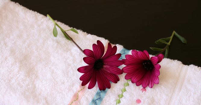 Two maroon daisies on a white face cloth
