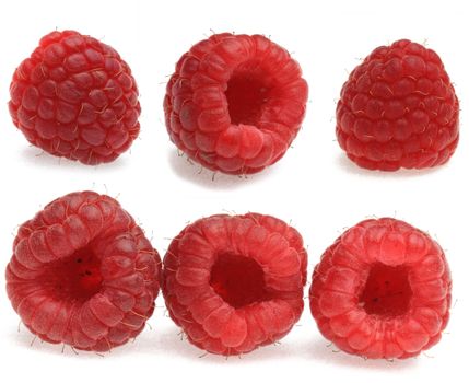 Collage of raspberries photographed in various positions in a studio against a white background with shadows.