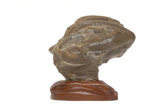 suiseki, contemplation stone isolated human head 