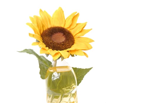 Sunflower oil bottle isolated on white background 