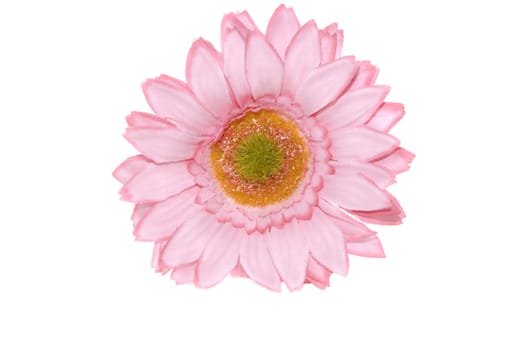 artificial flower pink daisy isolated on white background 