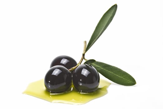 Premium black olives with leaves covered in olive oil and isolated over a white background.