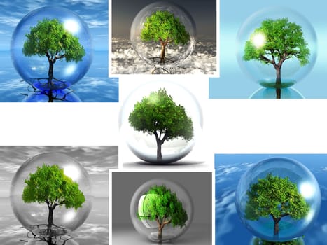 composition  of trees in bubbles