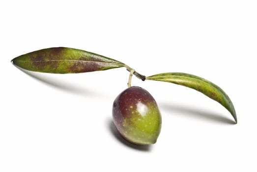 Green olive with a pair of leaves isolated over white background.