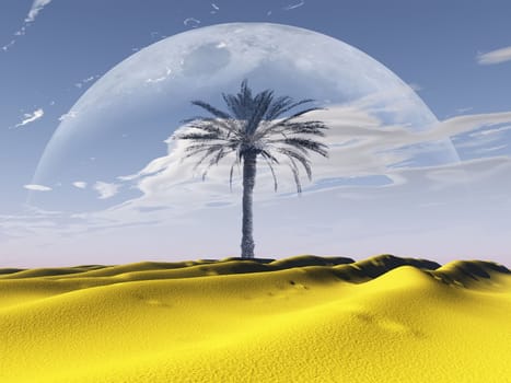the  palm tree in the desert