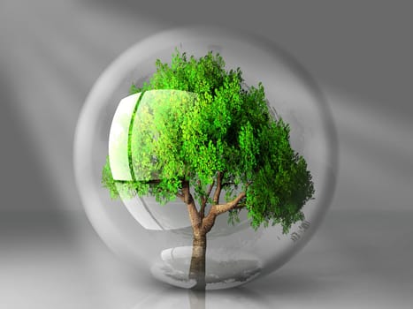 tree in bubble and sunbeams