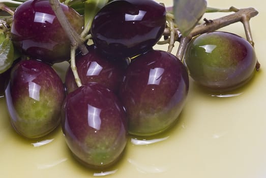 Green olives with leaves covered in olive oil and isolated over awhite background.