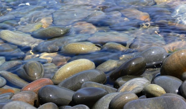 Pebbles in water on the beach. Close-up.